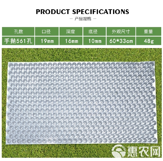 手抛育秧盘水稻育苗盘晚稻透明塑料434孔561孔353育苗盘