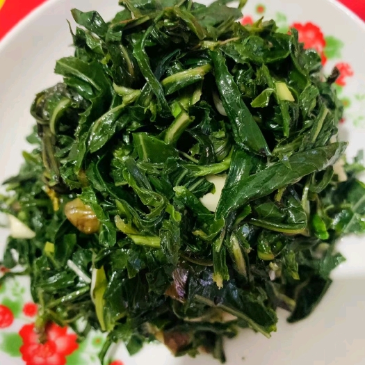 丰镇市野生苦菜