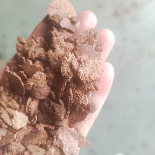 上饶优质菜饼