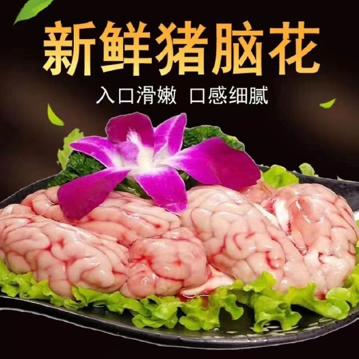 临沂大猪脑花生猪脑子批发新鲜猪脑花猪脑子左右脑 脑髓火锅烧烤食材