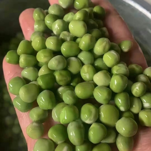 成都干青豌豆，品质好，一手货源，量大从优一件起批，