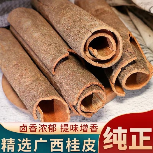 岑溪市大量玉桂出售