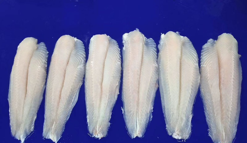 巴沙鱼柳现货/期柜 越南工厂直采