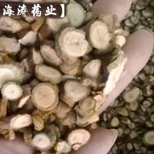 鄄城县【槲寄生】产地保质保量.一手货源大货供应.规格齐全量大优惠