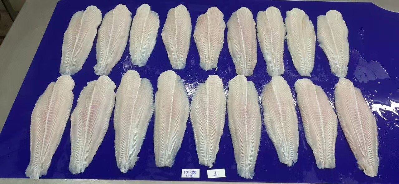 巴沙鱼柳现货/期柜 越南工厂直采