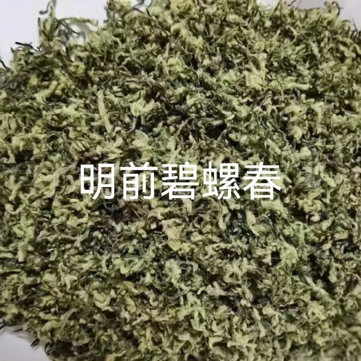 苏州2023洞庭山碧螺春新茶 单芽