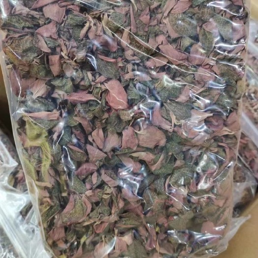 广州金线莲，无碎，品质保证，福建红霞