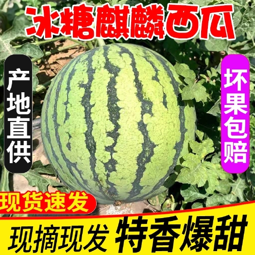 夏邑县河南夏邑麒麟瓜一件代发包售后8424西瓜美都电商供应链
