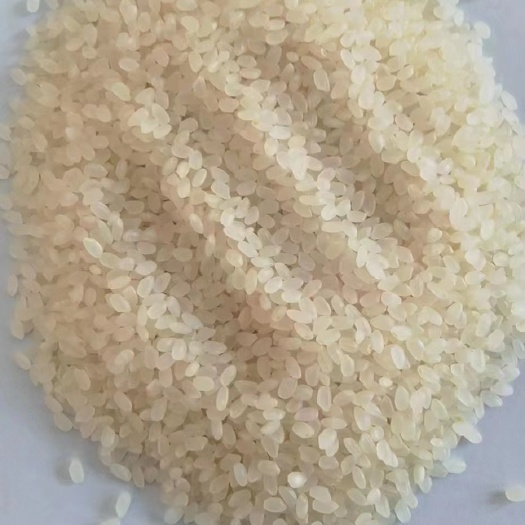 天津大米   碎米   糙米