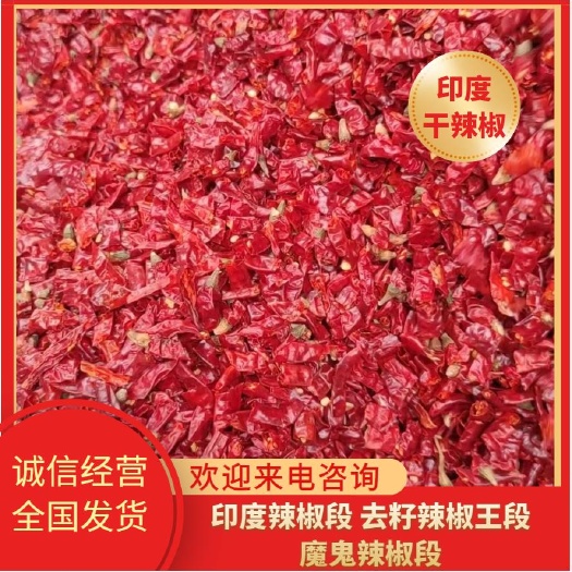 中牟县印度辣椒王段 魔鬼椒