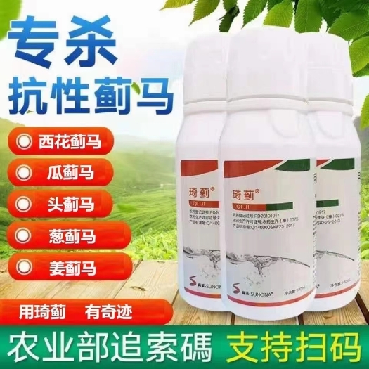 商丘琦蓟 蓟马药高抗性蓟马高度安全苗期花期果花期果期虫卵
