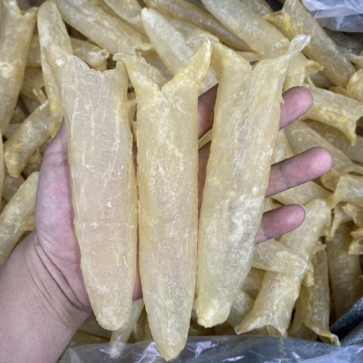 广州30头巴沙胶，巴沙黄花胶，超靓便宜