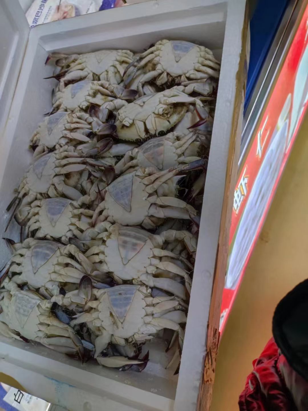 青岛出口级生冻梭子蟹，公蟹母蟹
