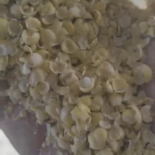 正定县大豆皮