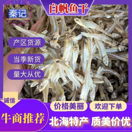 北海广西北海深海天然淡干小鱼干 白凡鱼 海燕鱼干 银鱼干