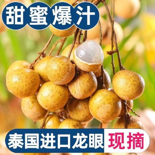 无锡龙眼新鲜现摘水果新鲜应季孕妇水果批发新鲜现摘鲜龙眼