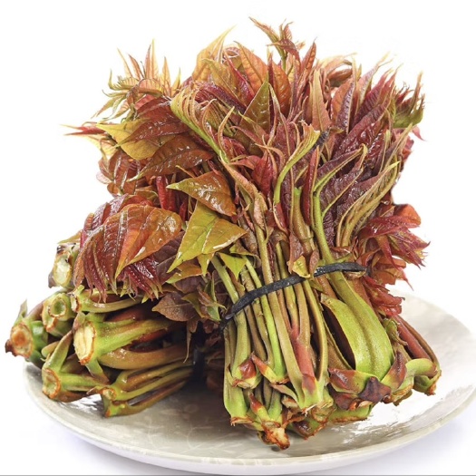 渭南香椿北方甄选【现货现摘现发】新鲜头茬红香椿芽陕西野菜红油香椿