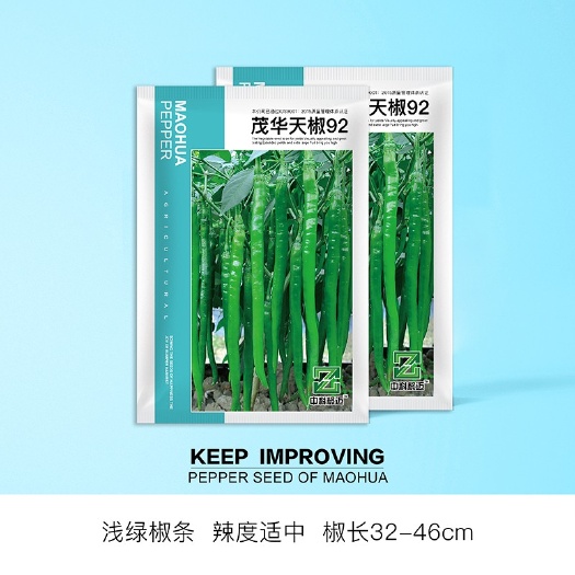 夏邑县天椒92长线椒种子，二荆条种子，浅绿辣味适中