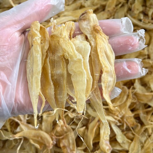 广州豆仁胶【包邮】清水漂亮货豆仁胶性价比高，煲汤没有腥味厚肉短身