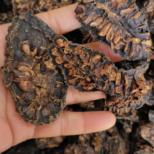 诺丽果干 包邮 规格齐全 大小片都有 现货出售 量大从优