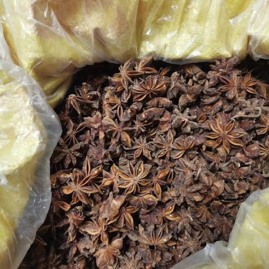 中山市无硫十成干香料八角