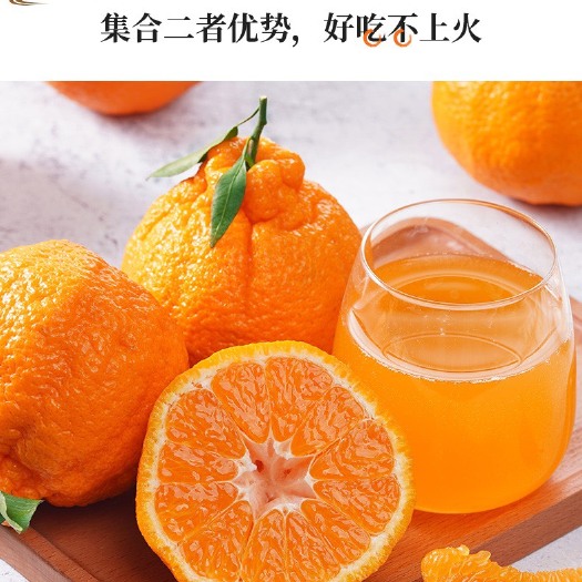 丹棱县丹棱不知火，丑橘，代办，有需要的联系我