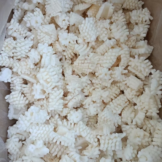 荣成市残鱿鱼花