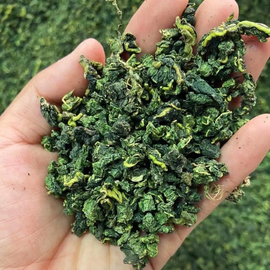 新货桑叶茶 霜后桑叶茶散装批发 产地货源 量大价优