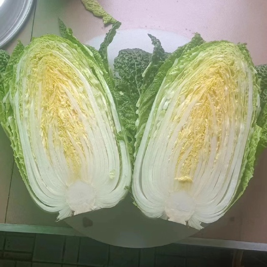 四川遂宁的黄心白菜，4-7斤，清秀水润。
