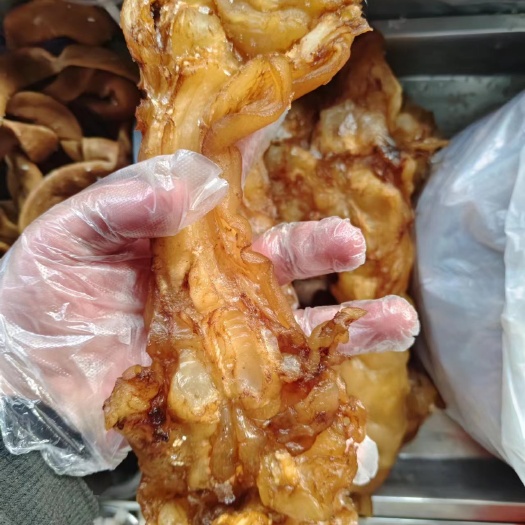 精选优质牛蹄筋新鲜发货