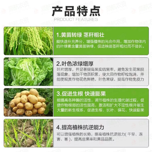 聊城叶绿素氨基酸叶面肥壮棵提苗增厚增绿生根中量元素水溶肥料正品