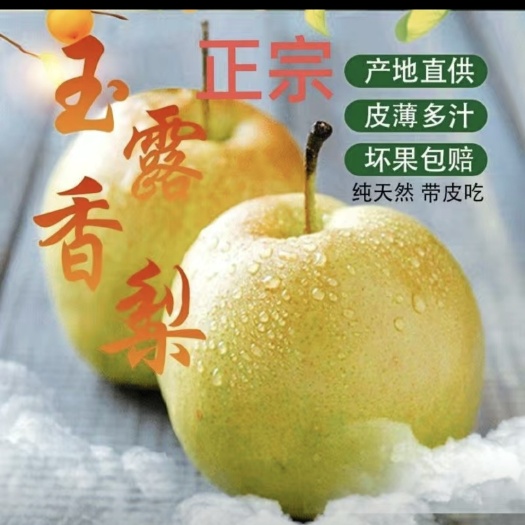 赵县玉露香