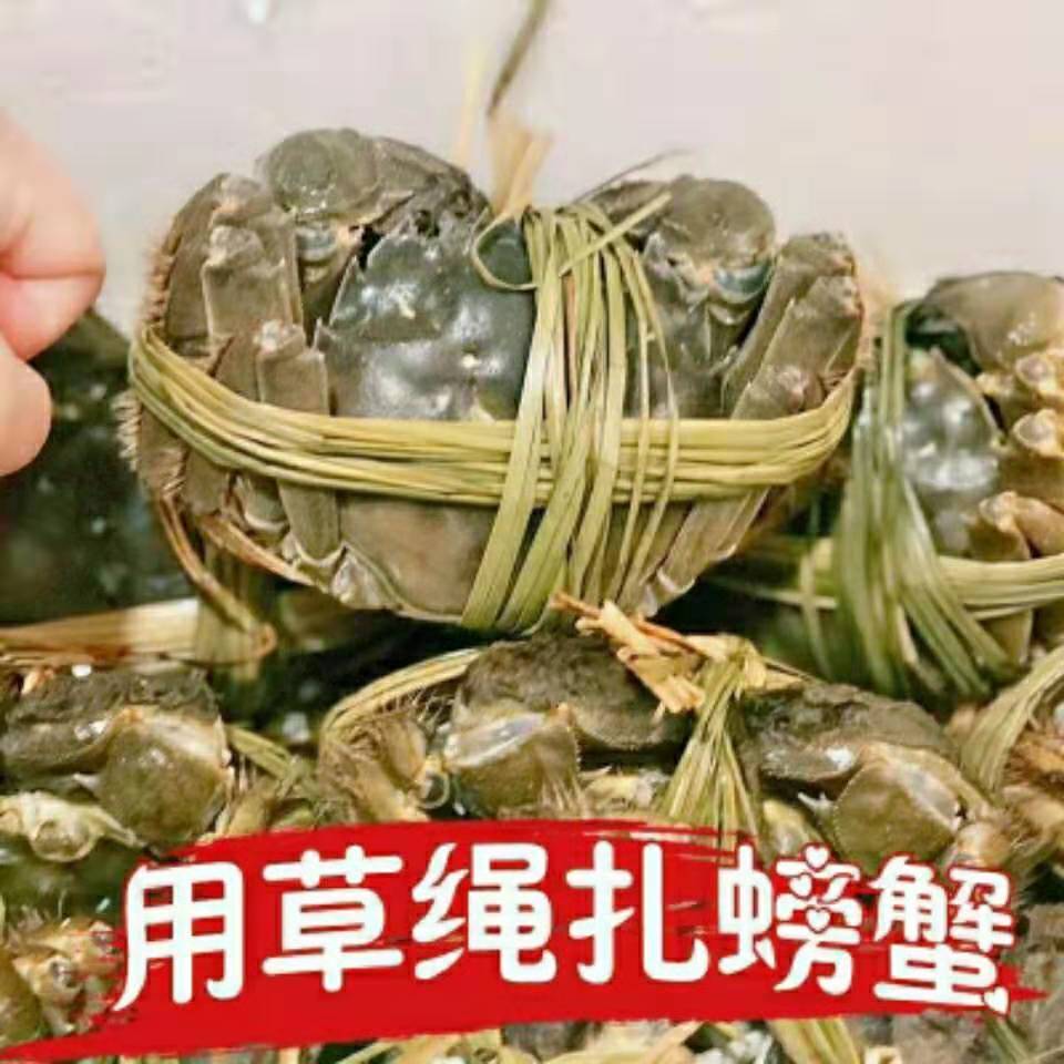 天然粽绳