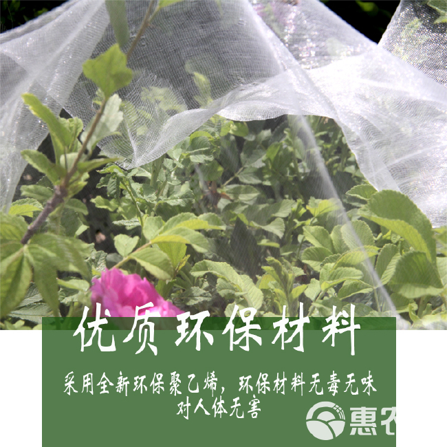 防虫网 大棚蔬果防虫网 养殖场防蚊蝇网 蚂蚱青蛙