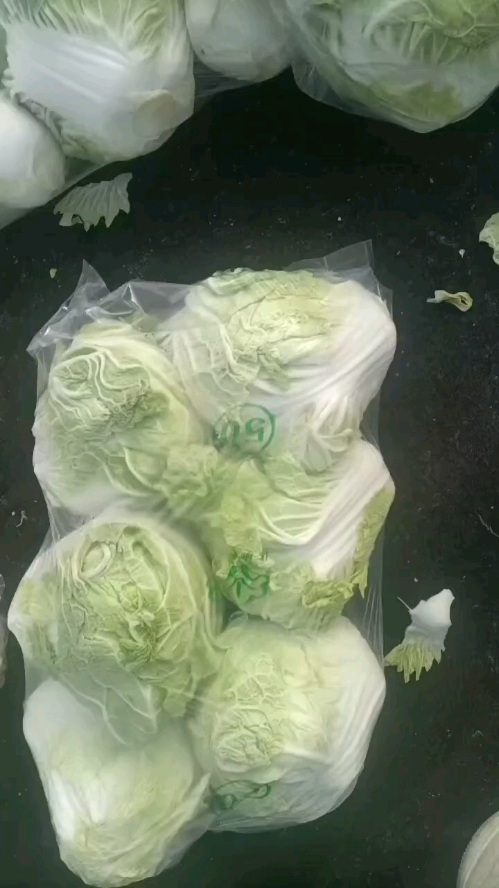 白菜，冷库货，保质保量，实地考察，线上保障交易