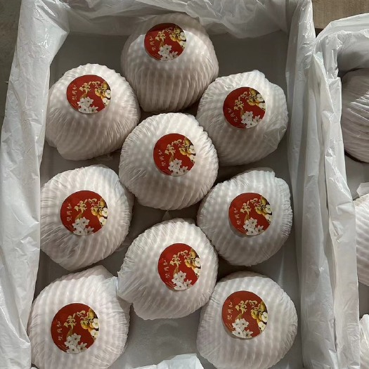 冠县秋月梨丰水梨产地直供，专业代收代发各大平台供应链商超