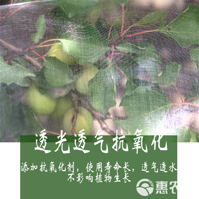 防虫网 大棚蔬果防虫网 养殖场防蚊蝇网 蚂蚱青蛙