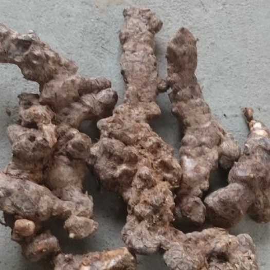 翁源县土茯苓