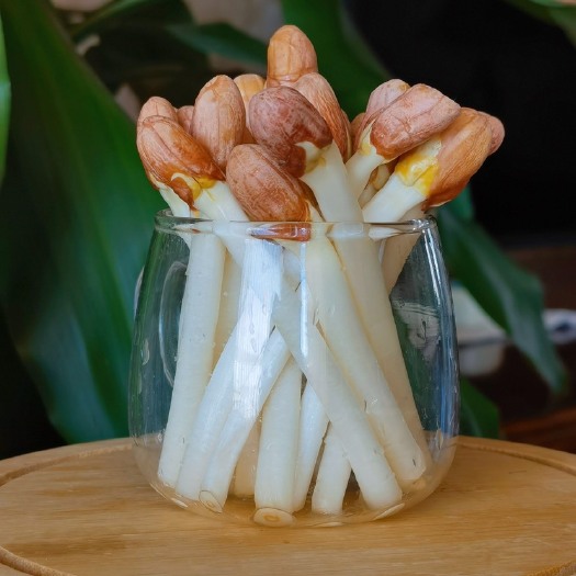 博罗县花生芽