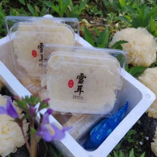 魏县鲜银耳中富含维生素D、硒元素、酸碱性核甘酸物质。
