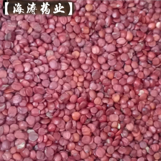 鄄城县【枣仁】国产枣仁.一手货源大货供应.规格齐全量大优惠