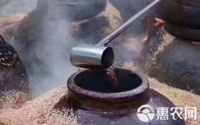 广东客家黑糯米酒月子酒传统火灸黑糯米甜酒糯米酒泡阿胶自酿
