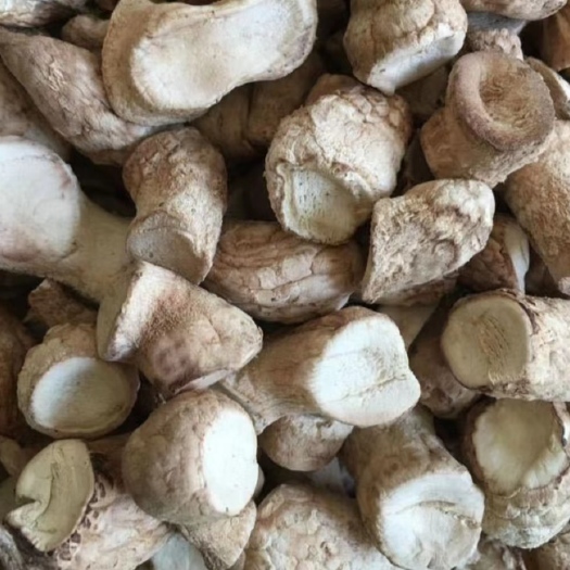 香菇脚 香菇腿 菇脚 菇腿产地直发！品质好 价格低 包邮！！