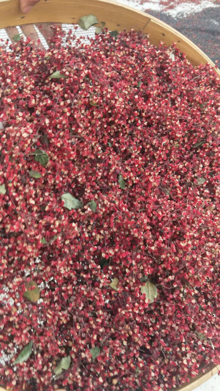 农家自种鲜花椒，色面红，味麻辣心黑叶子麻等特点，