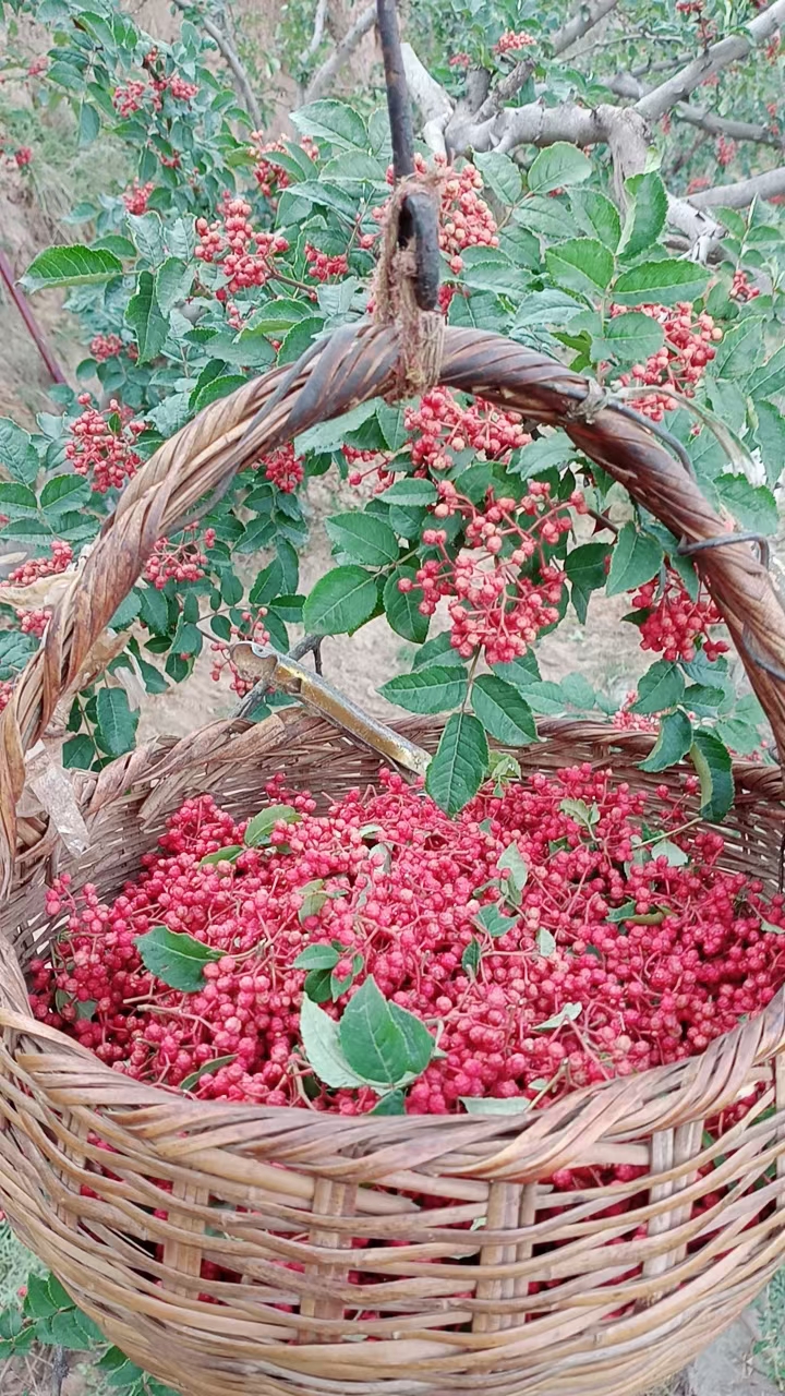 农家自种鲜花椒，色面红，味麻辣心黑叶子麻等特点，