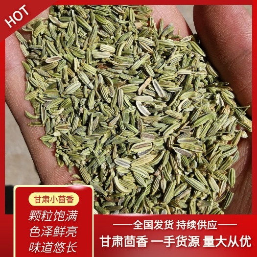 民勤县甘肃民勤小茴香加工，一手货源，保证质量，孜然，葵花籽？