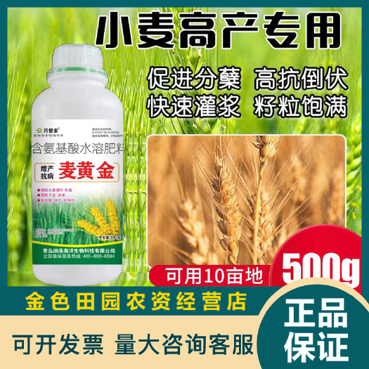 烟台麦黄金壮苗促杆促吸收壮杆壮苗抗倒伏增产增量高产小麦叶面肥料