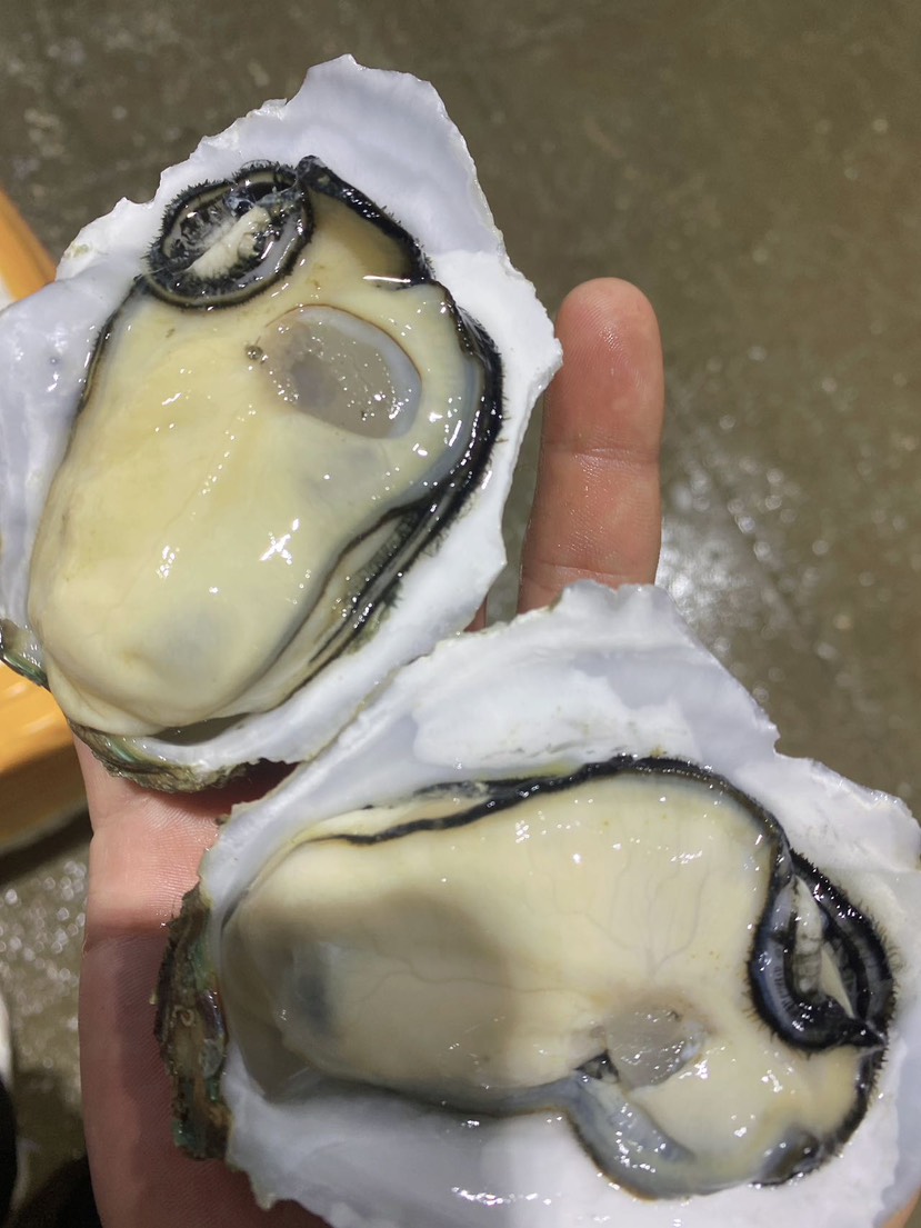 正宗精品湛江生蚝白蚝脆蚝薄壳肉实，烧烤供应产地直销。