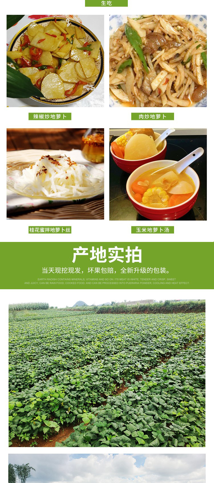 广东凉薯豆薯新鲜现挖白地瓜萝卜农家蔬菜现季清甜水果沙葛土番薯