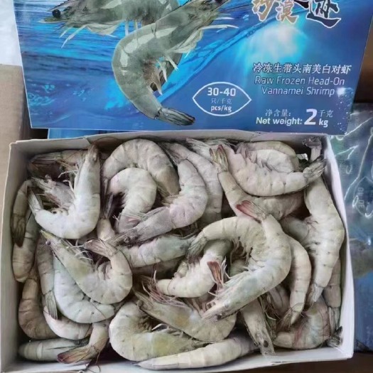 白对虾，沙特虾，基围虾批发，一手货源